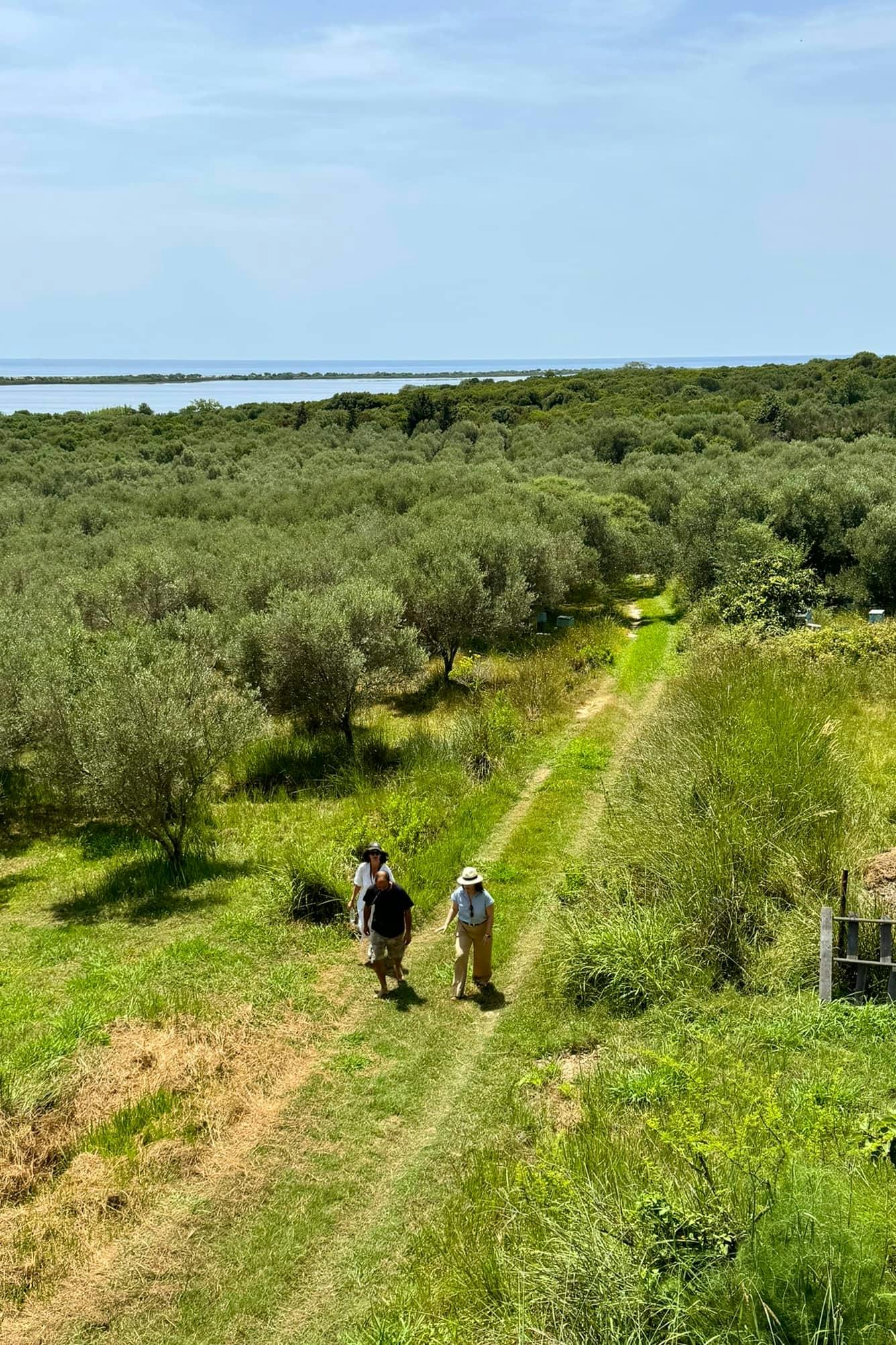 Nat Geo Day Tour: Flavours of Corfu, Cook with Locals at an Organic Farm