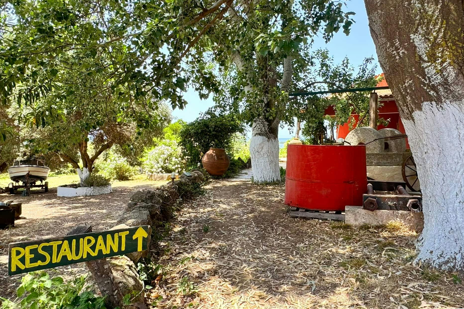 Nat Geo Day Tour: Flavours of Corfu, Cook with Locals at an Organic Farm