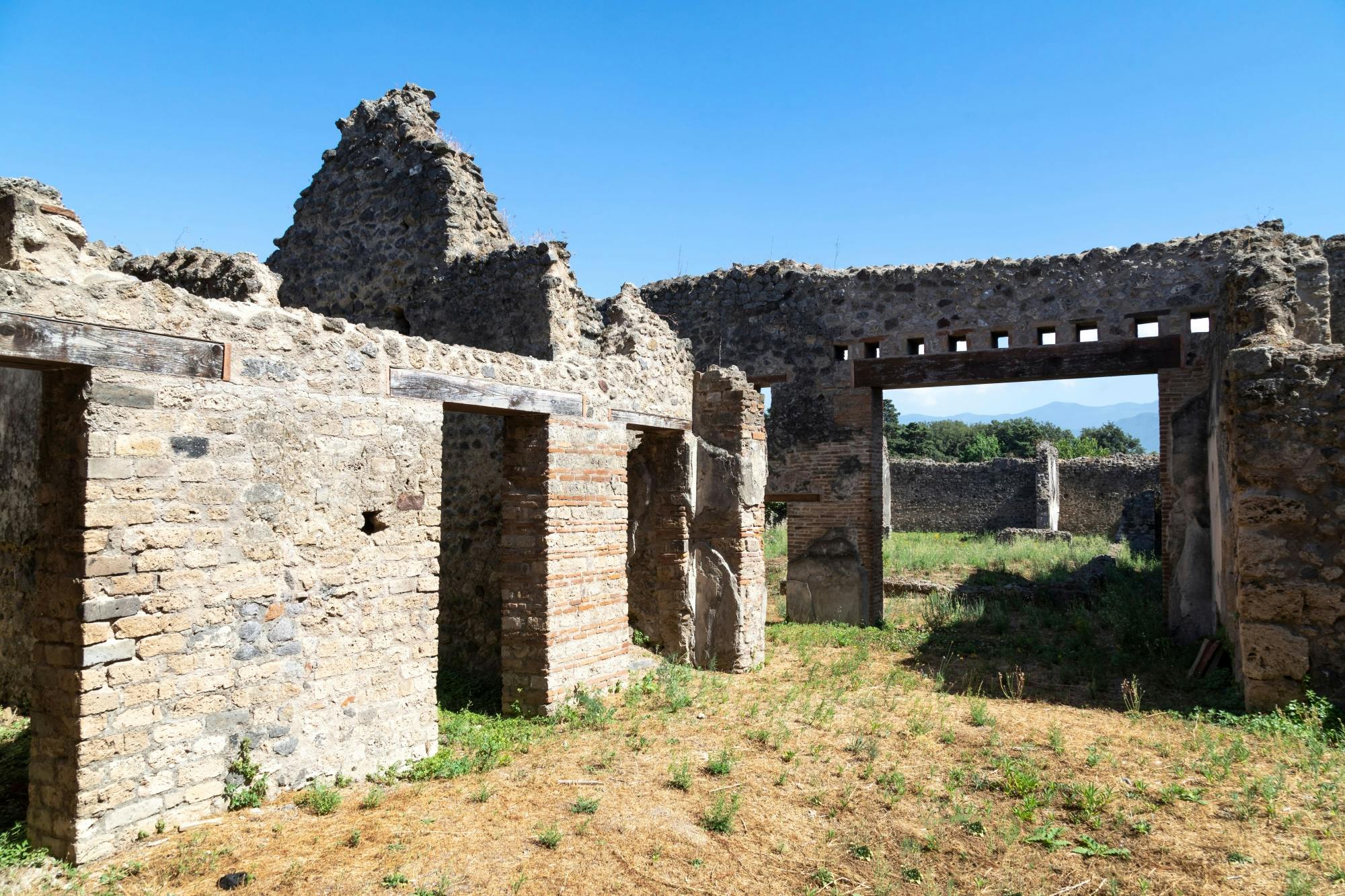 Nat Geo Day Tour: Roman Life Uncovered - Villas of Oplontis & Pompeii