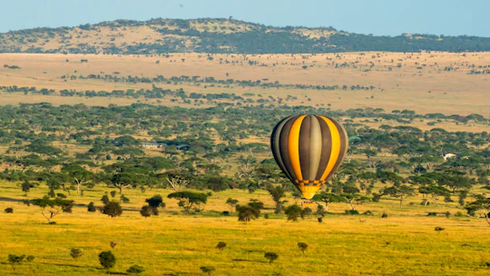 Serengeti National Park private three-day safari with hot air balloon