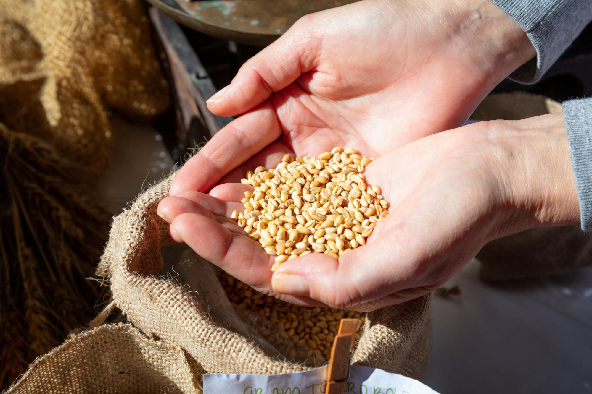 Full-day cheese and pasta-making tour at a Calabrian farm