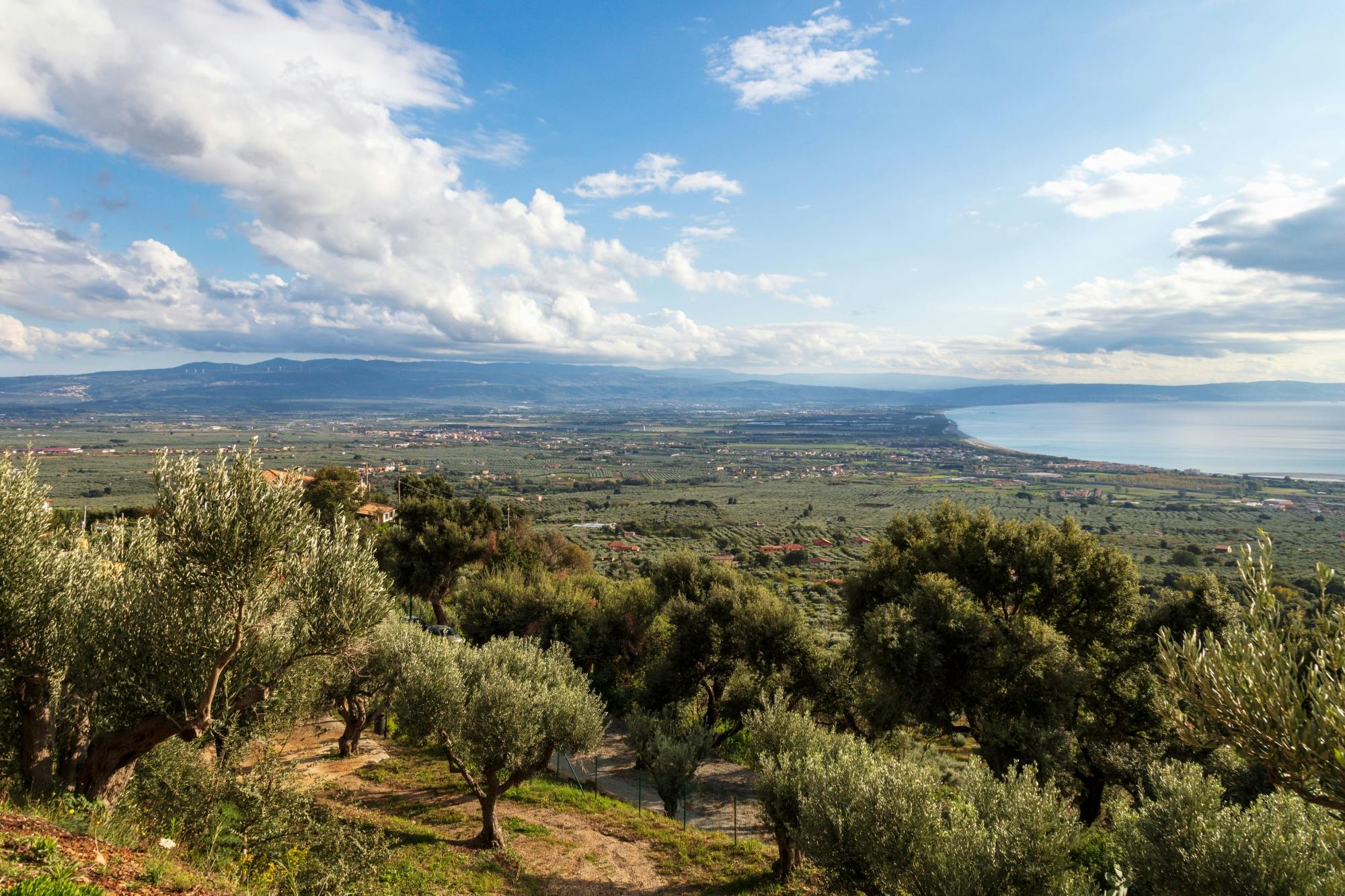 Full-day cheese and pasta-making tour at a Calabrian farm