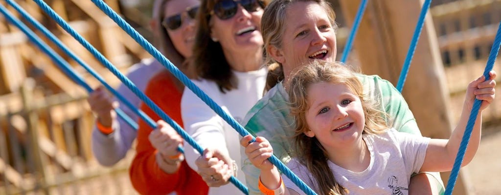 Blenheim Palace admission ticket with Adventure Play