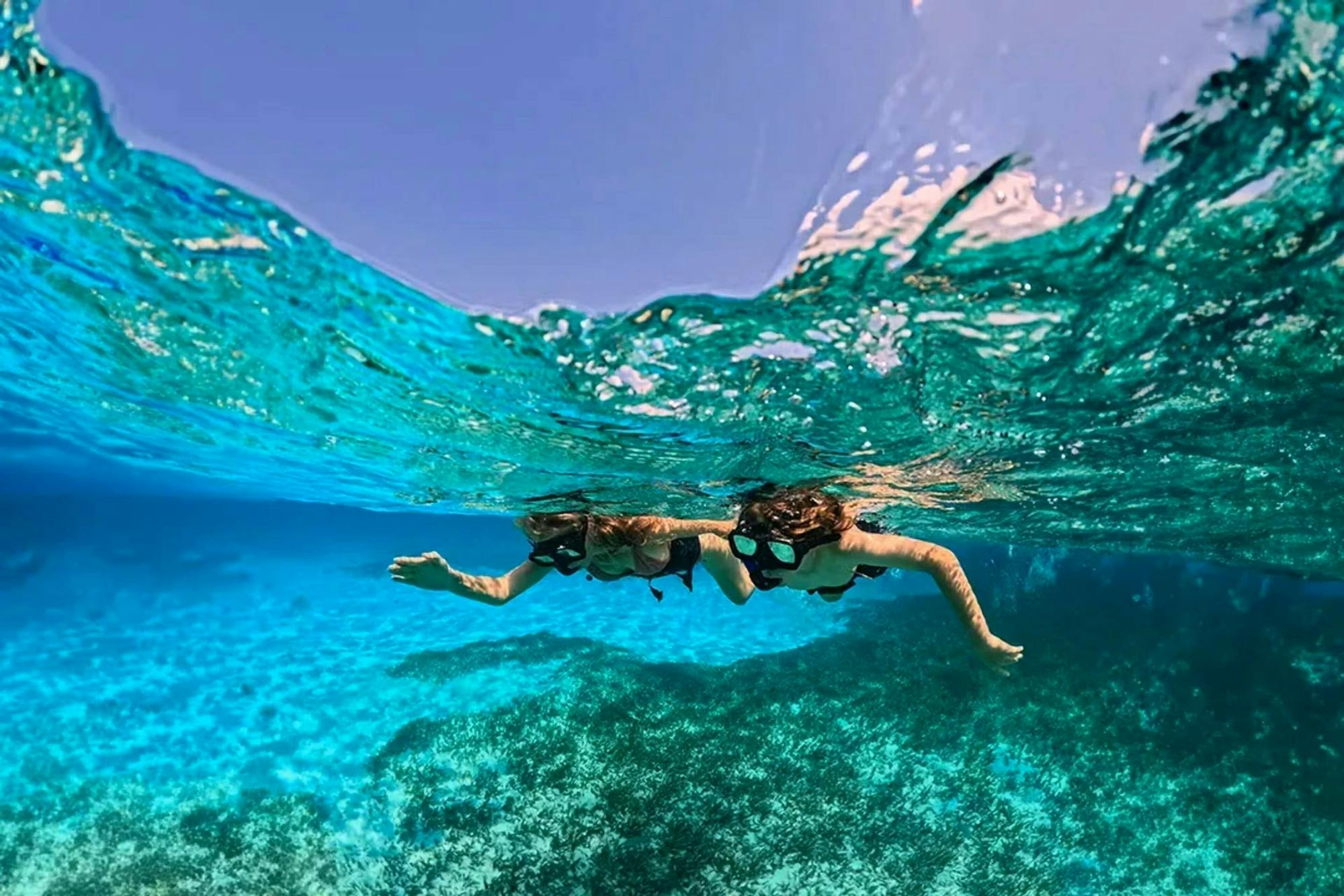 Nat Geo Day Tour: Explorer-Inspired Family Snorkel Quest in Cyprus