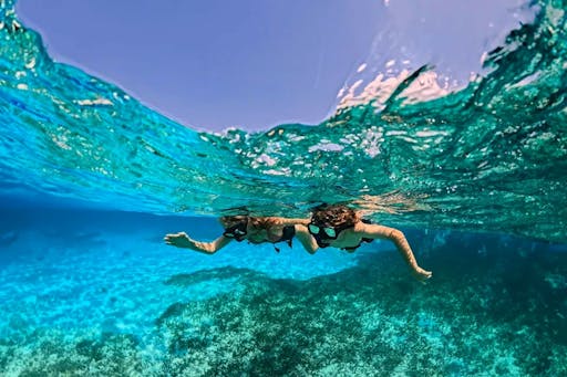 Nat Geo Day Tour: Explorer-Inspired Family Snorkel Quest in Cyprus