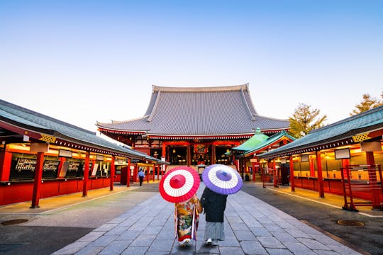 Tokyo full-day tour with private driver and local guide
