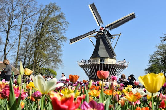 Half-day guided tour at Keukenhof tulip garden
