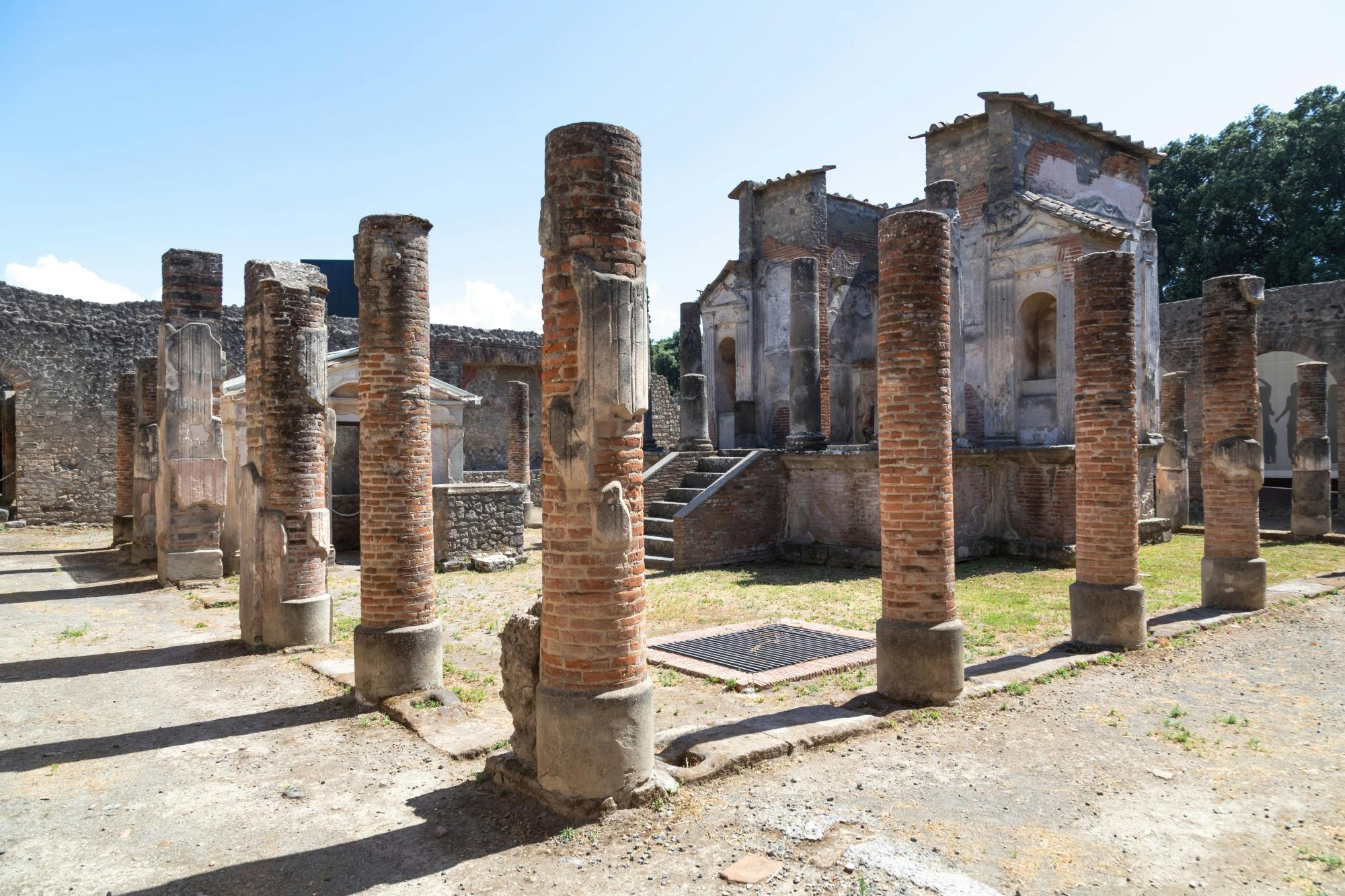 Nat Geo Day Tour: Roman Life Uncovered - Villas of Oplontis & Pompeii