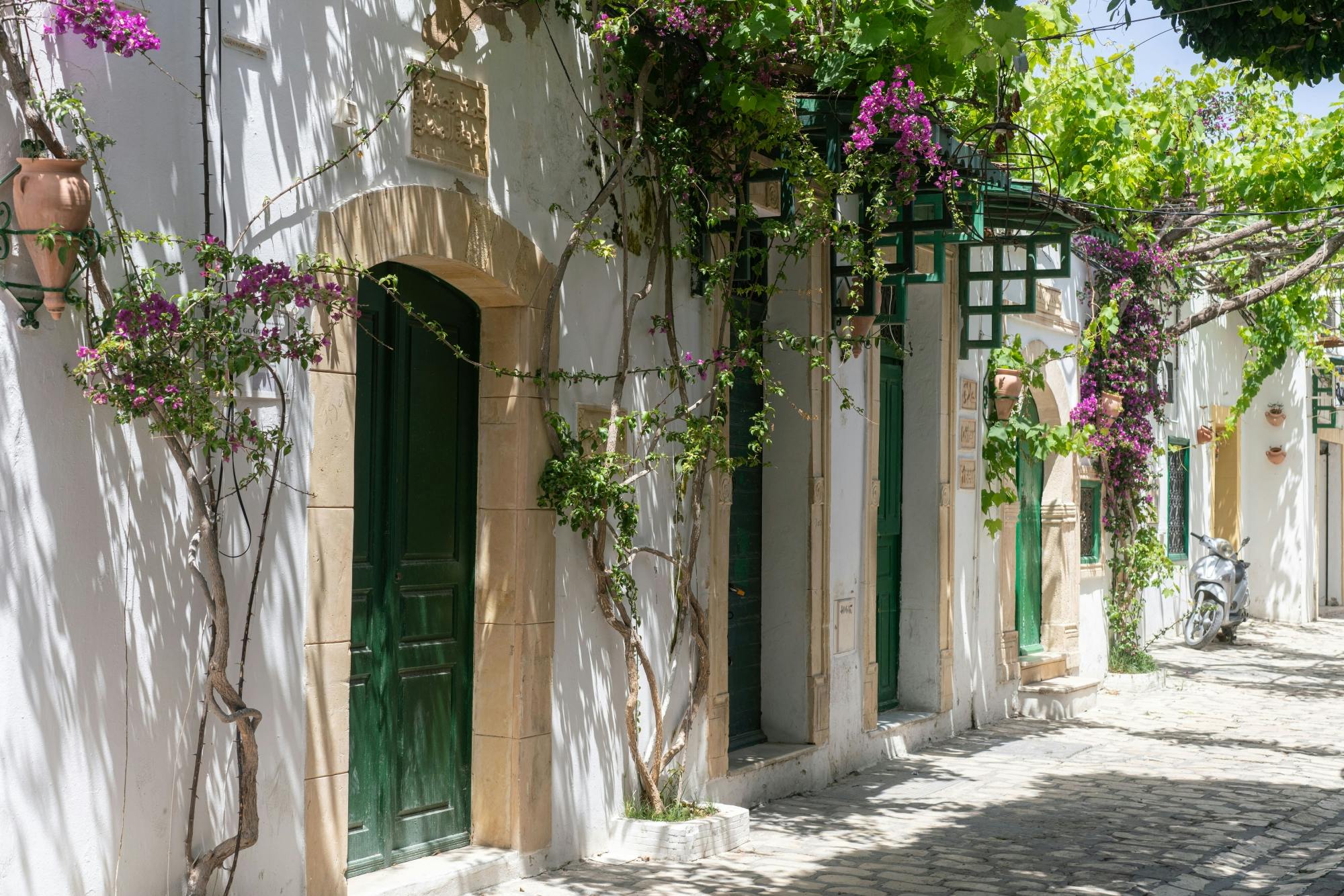 Mahdia and Monastir full-day tour with lunch at a farm