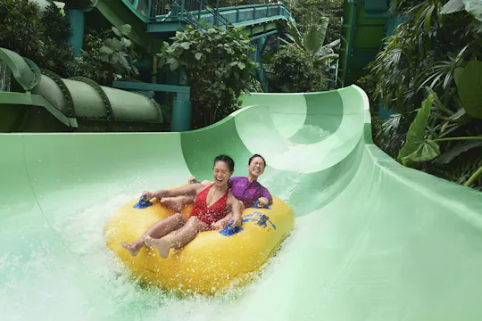 Bilhete eletrónico para o Adventure Cove Waterpark™