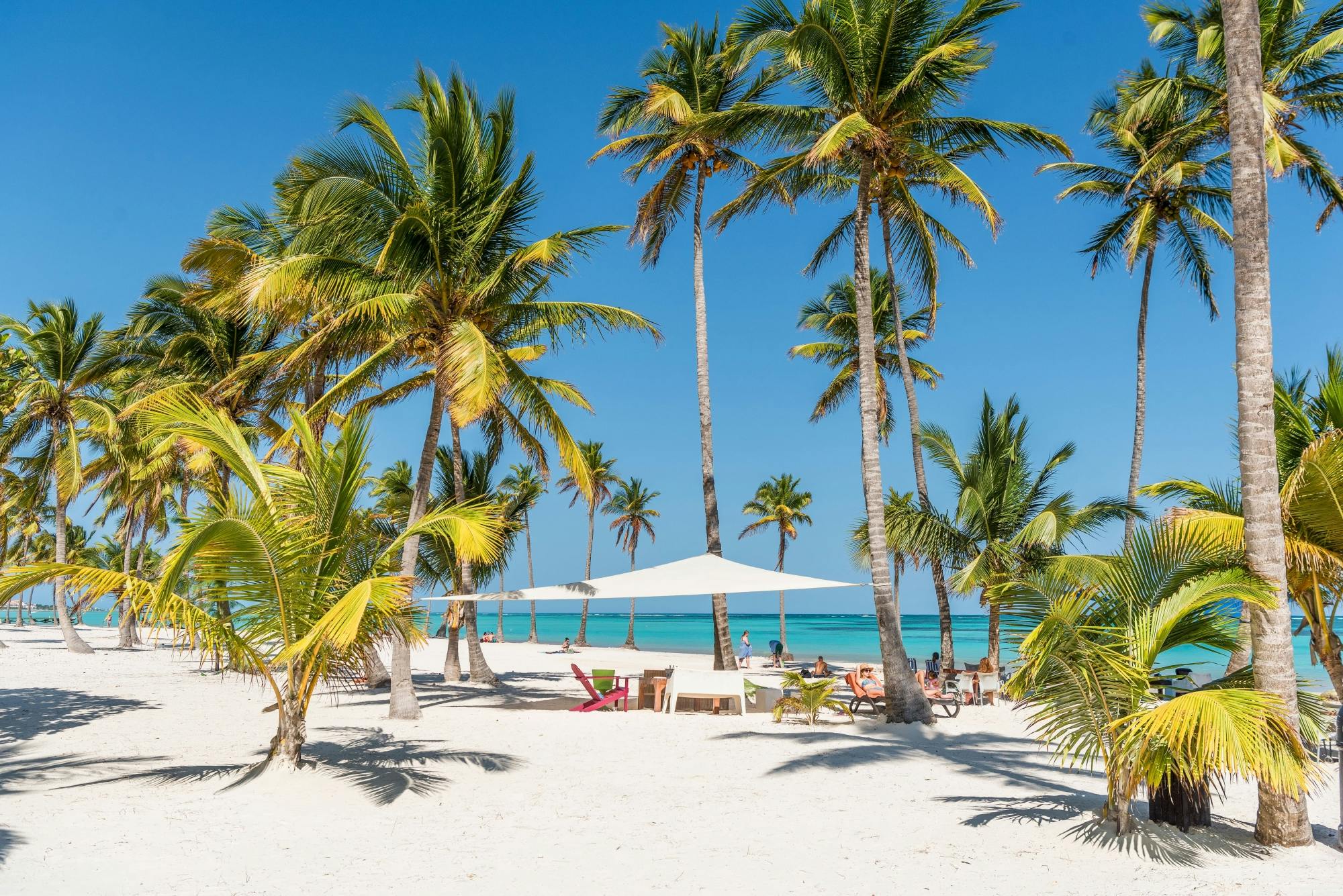 Full-day catamaran cruise with snorkelling and a beachside lunch