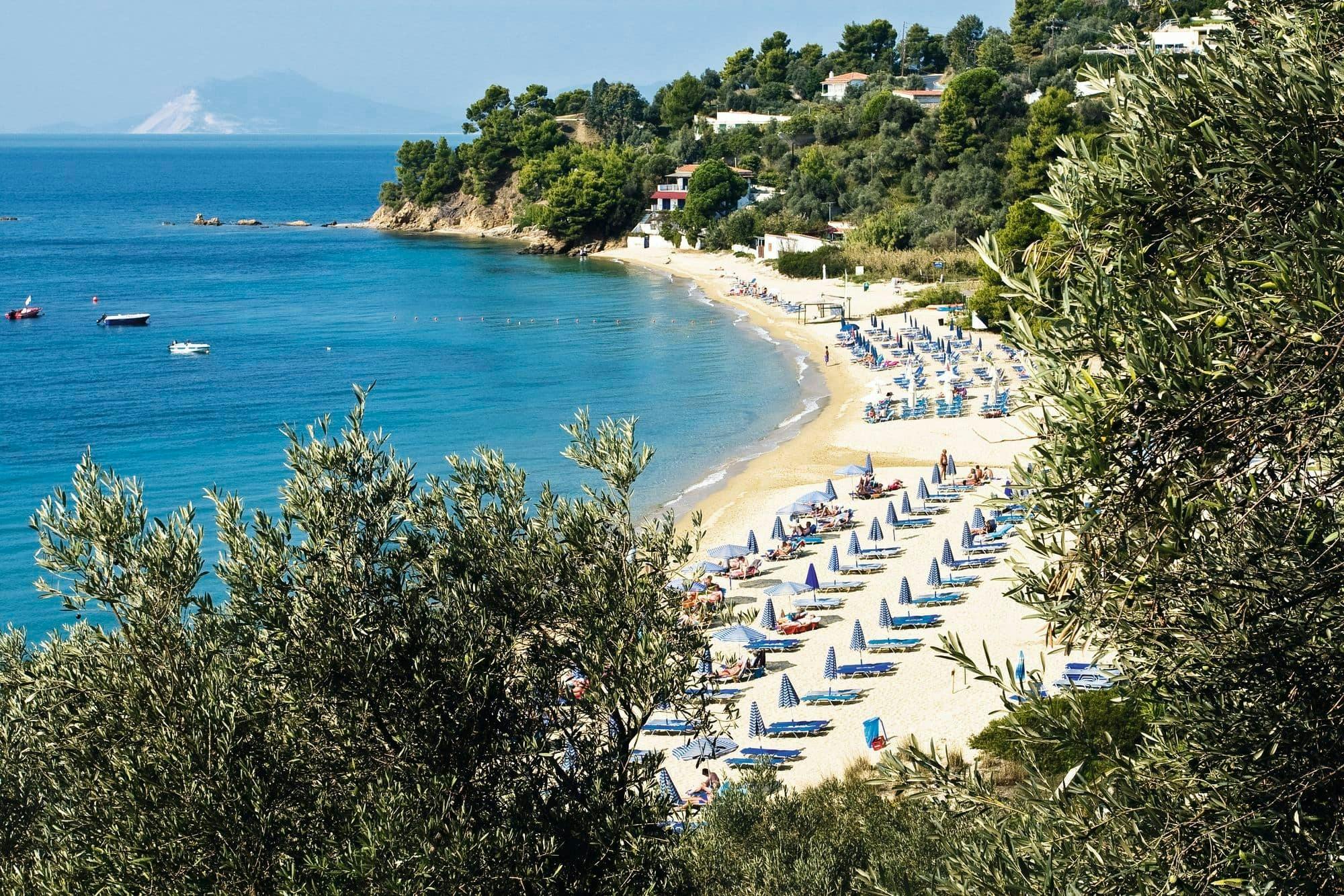 Taste Greece & Make a Dog's Day