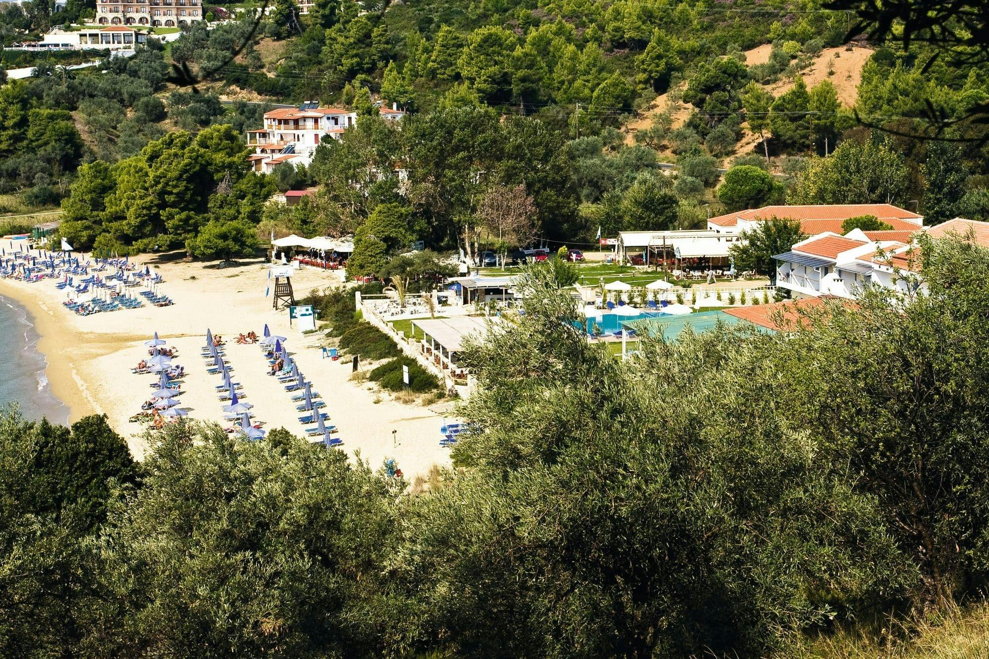 Taste Greece & Make a Dog's Day