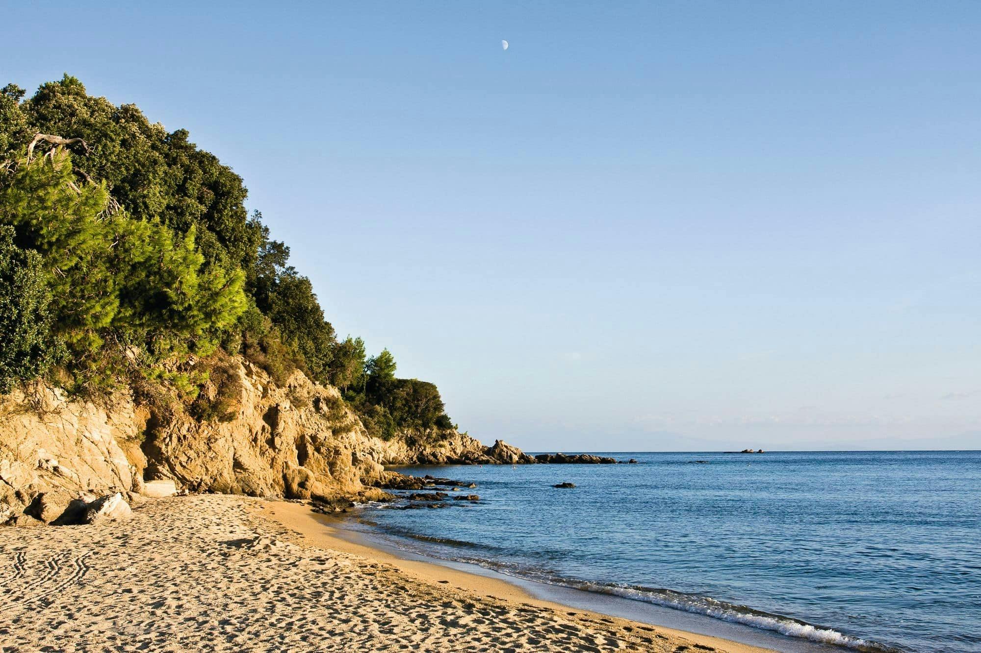 Taste Greece & Make a Dog's Day