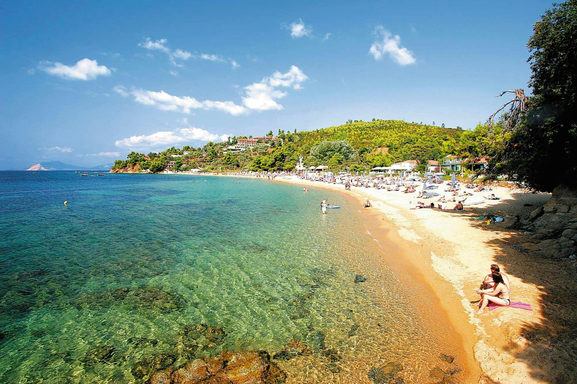 Taste Greece & Make a Dog's Day