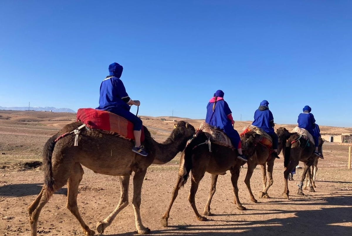 Tour del deserto di Agafay con giro in cammello, cena e musica dal vivo