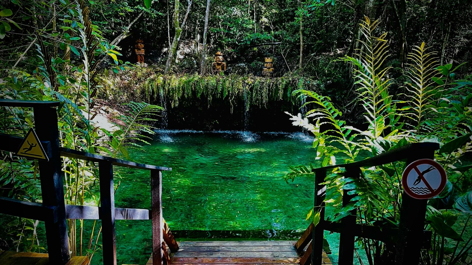 Atabey Santuary and catamaran cruise