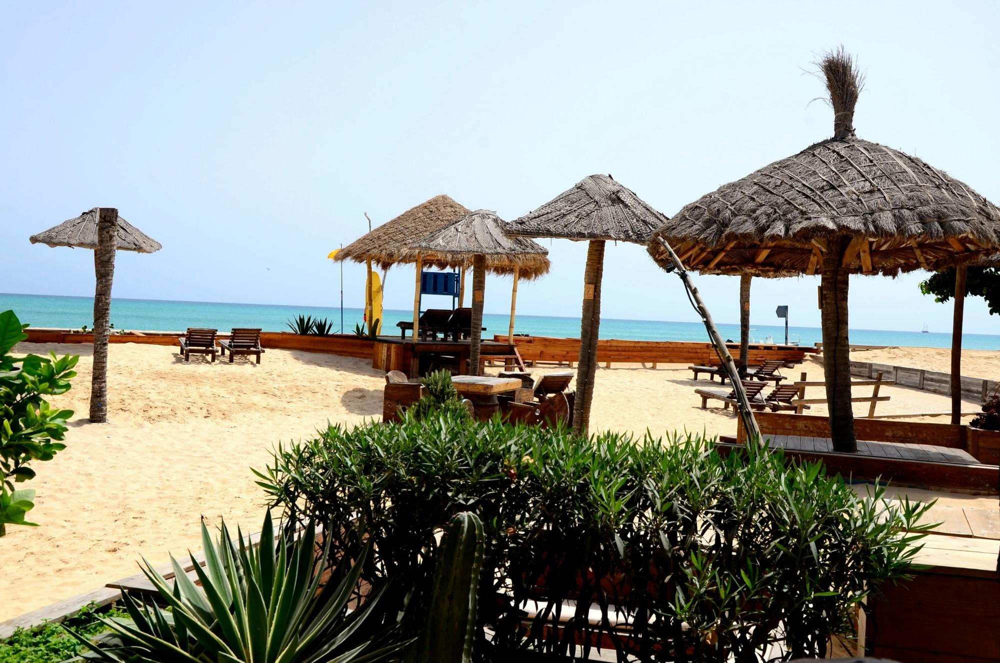 Boa Vista beachside sunset dinner with live music experience