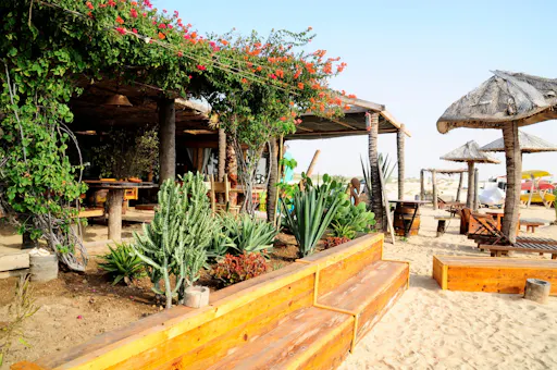 Sal Rei Beach Day Experience