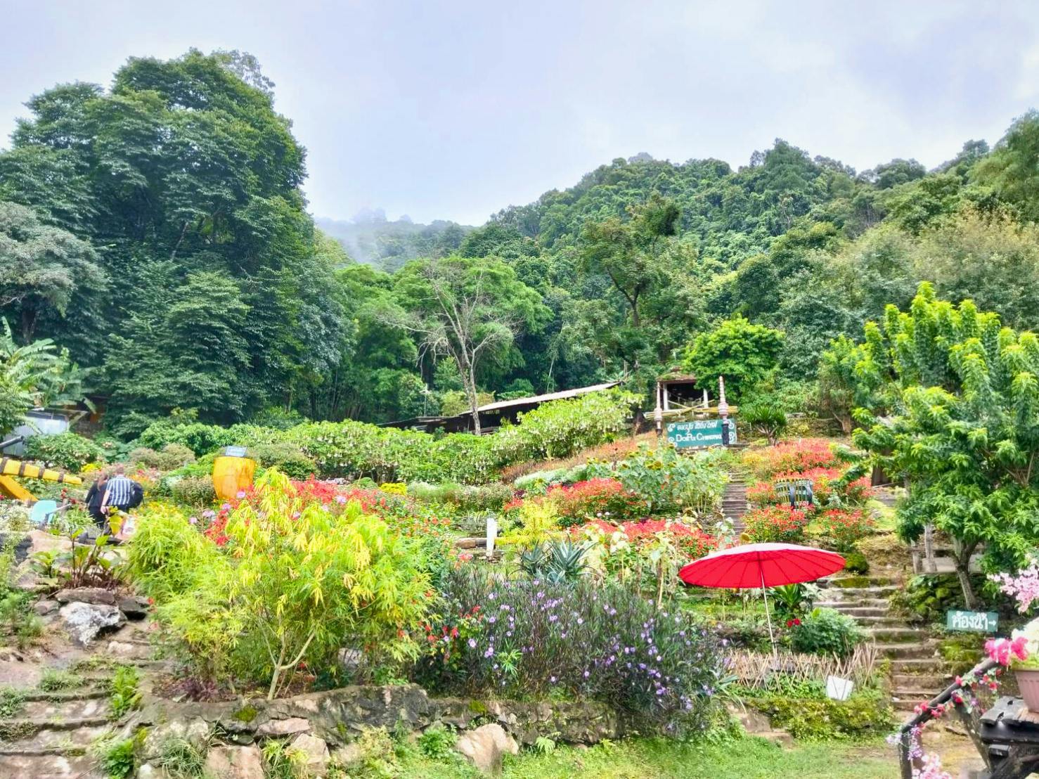 Half-day tour to Doi Suthep and White Hmong Hill Village