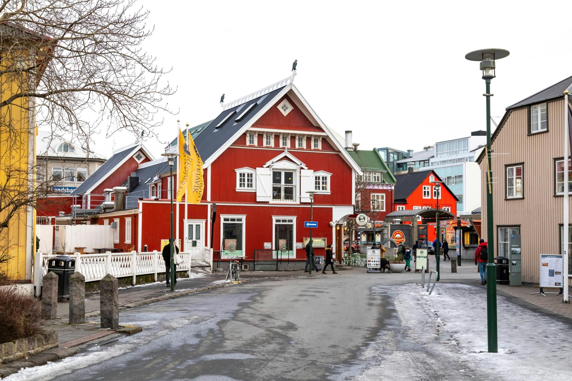 TUI Reykjavik City Tour with FlyOver Iceland Experience