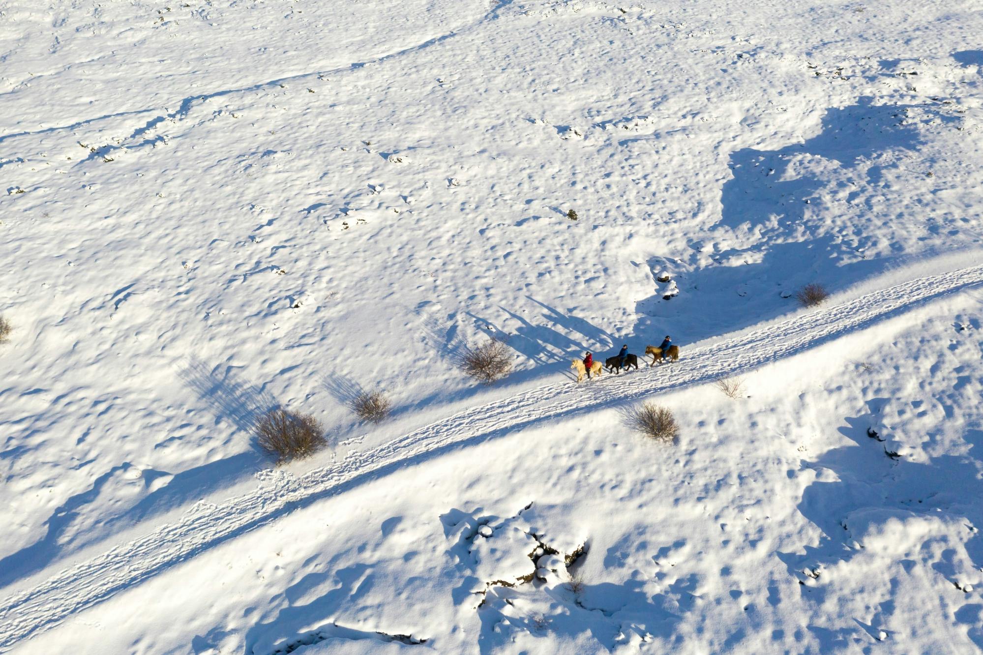 TUI Icelandic Horse Tour