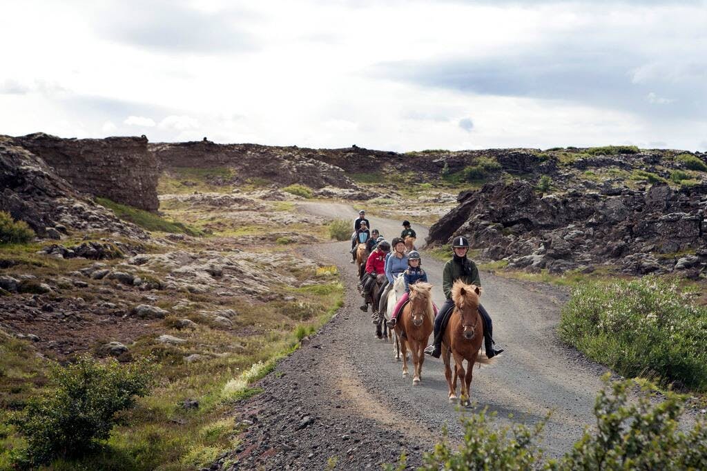 TUI Icelandic Horse Tour