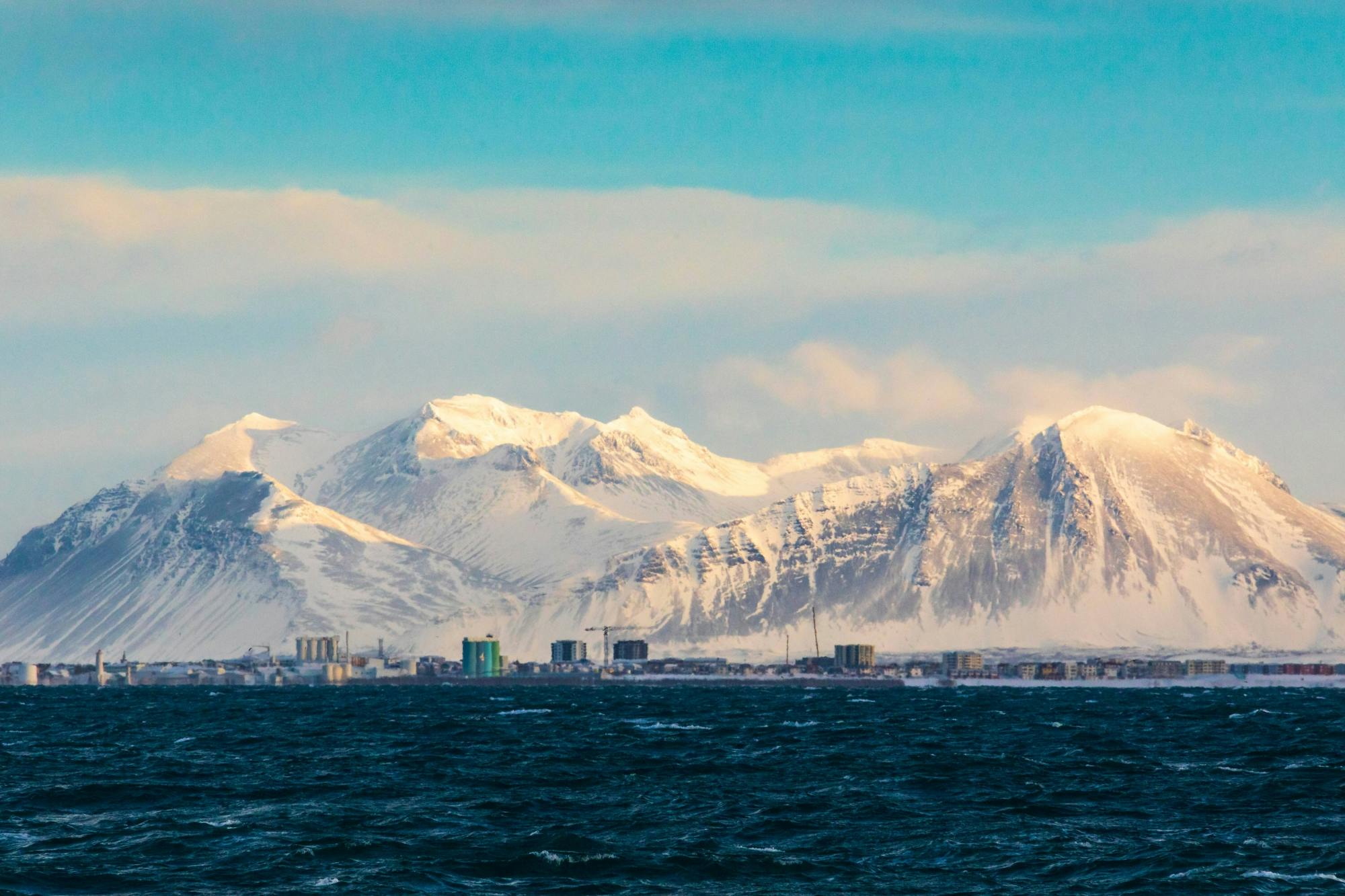 TUI Reykjavik Whale Watching Tour