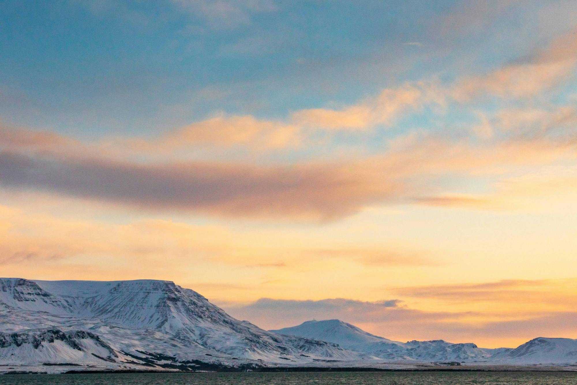 TUI Reykjavik Whale Watching Tour