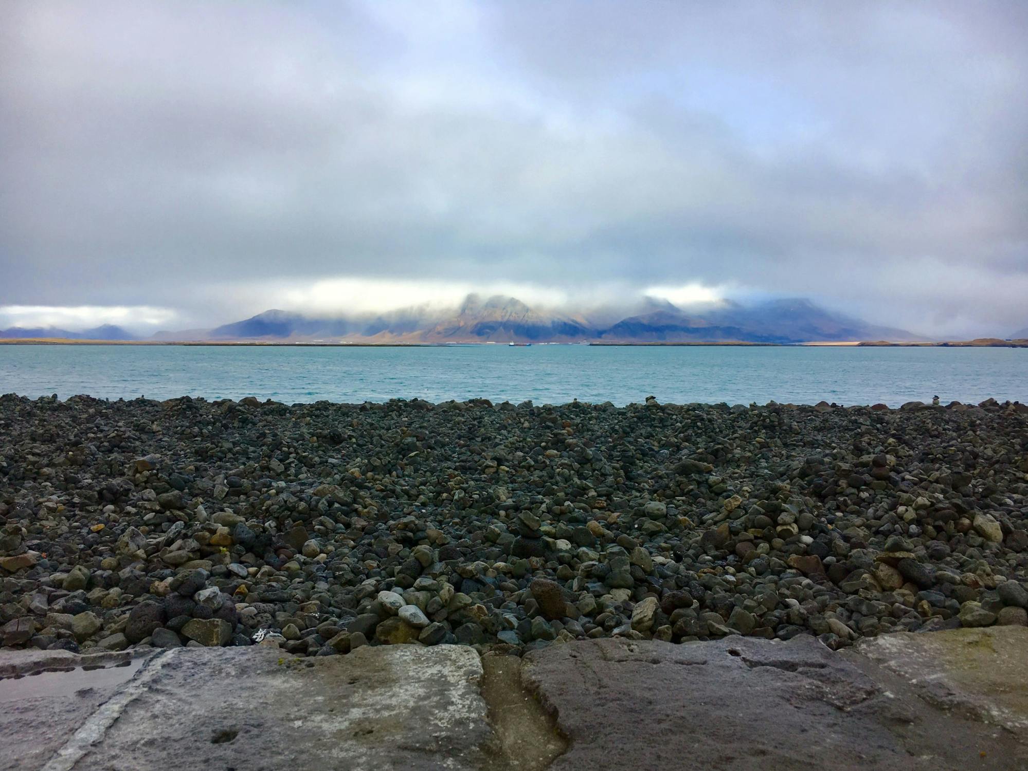TUI Reykjavik City Tour with FlyOver Iceland Experience