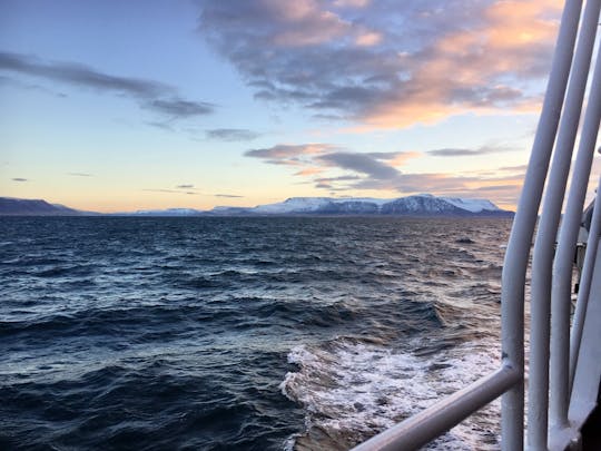 Walvissafari van TUI Reykjavik
