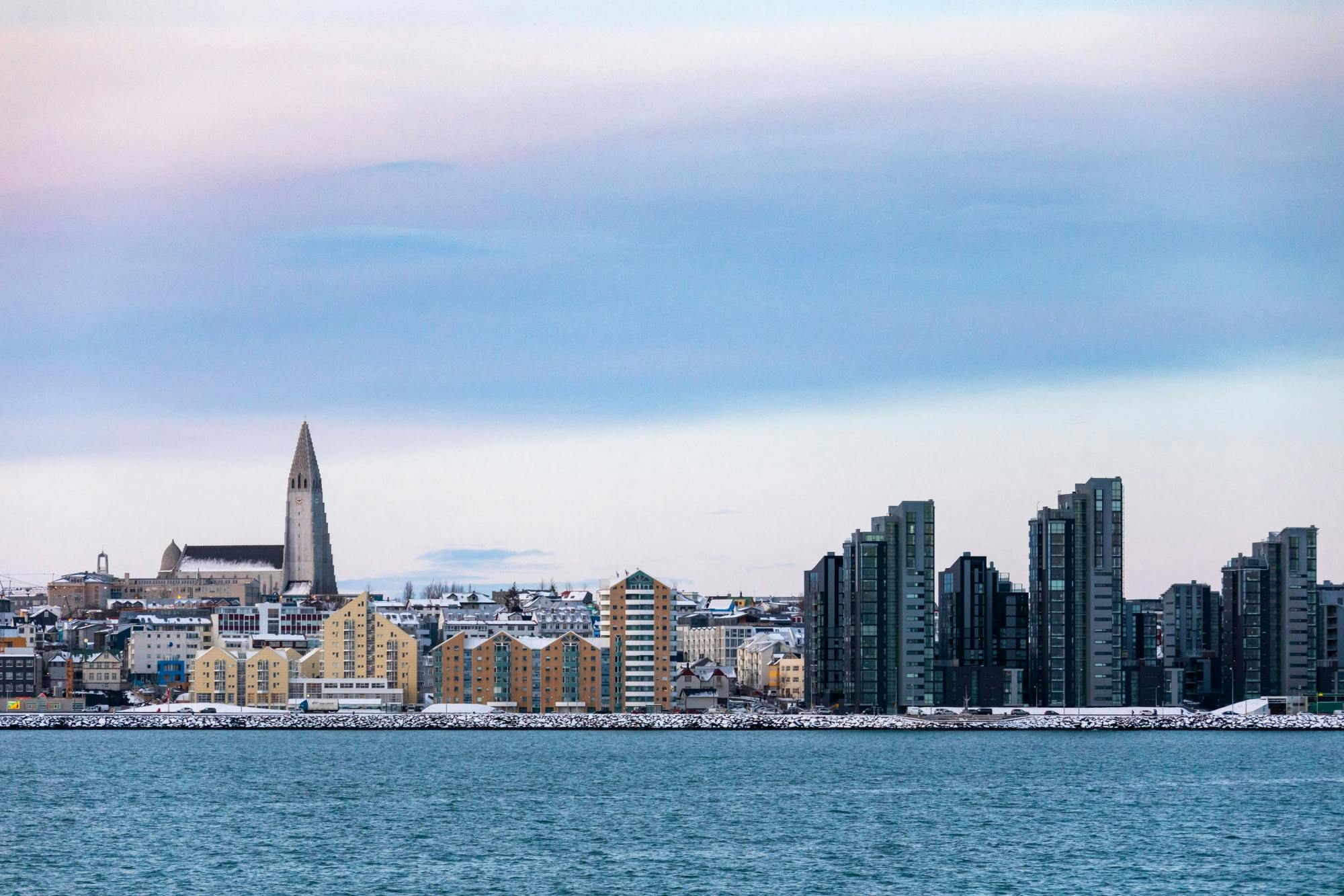 TUI Reykjavik Whale Watching Tour