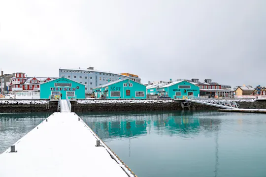 Visite guidée de Reykjavik avec FlyOver Iceland