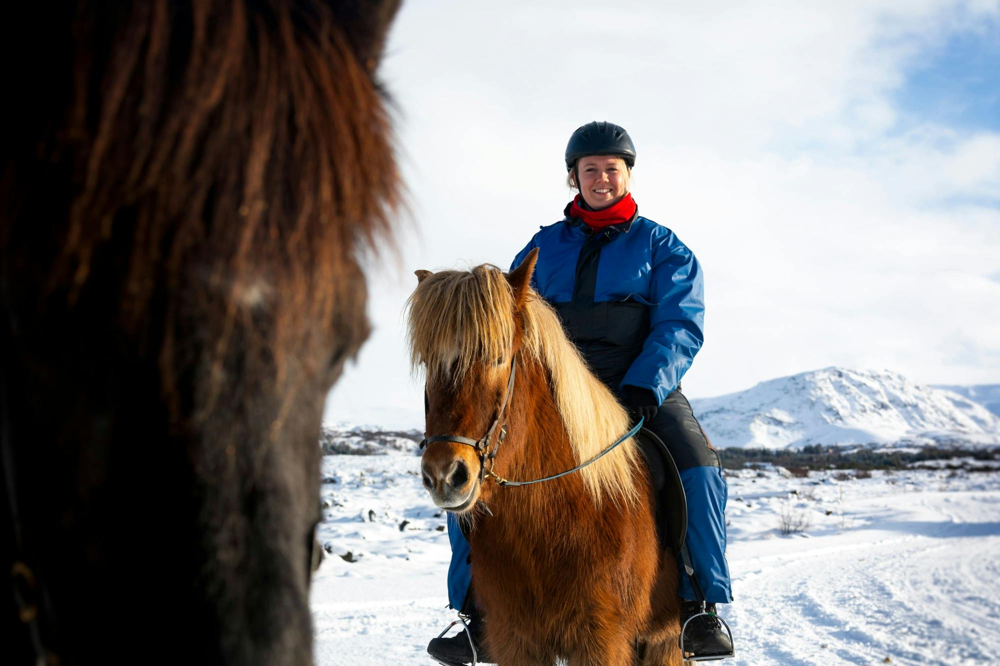 TUI Icelandic Horse Tour