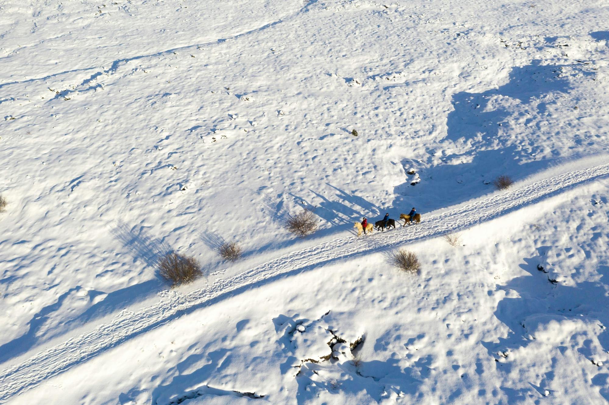 TUI Icelandic Horse Tour