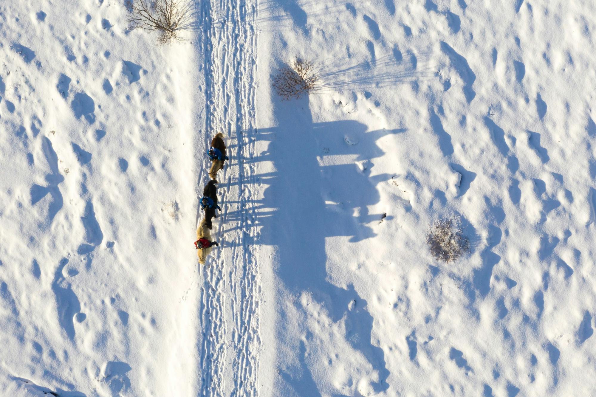 TUI Icelandic Horse Tour