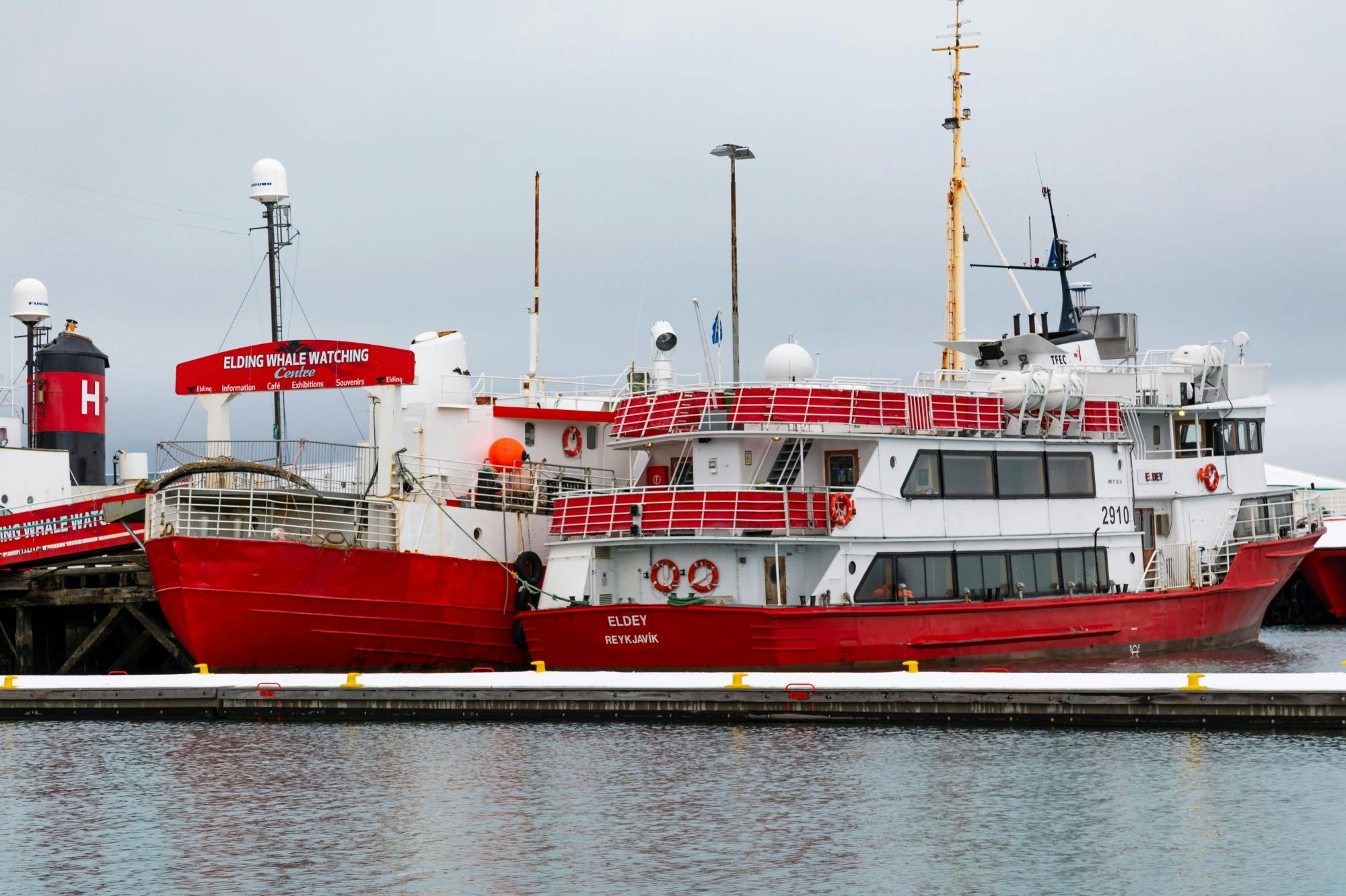 TUI Reykjavik Whale Watching Tour