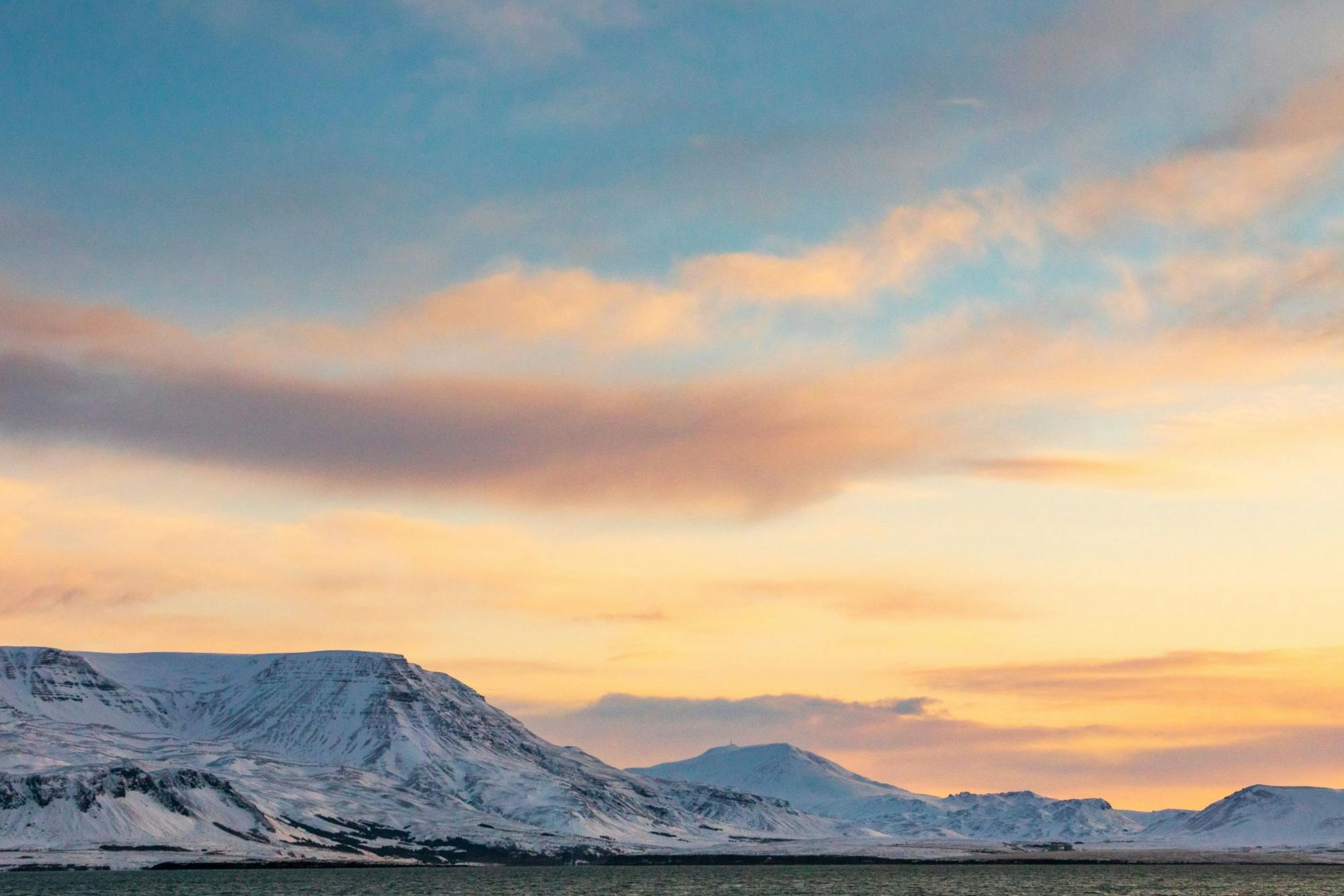 TUI Reykjavik Whale Watching Tour