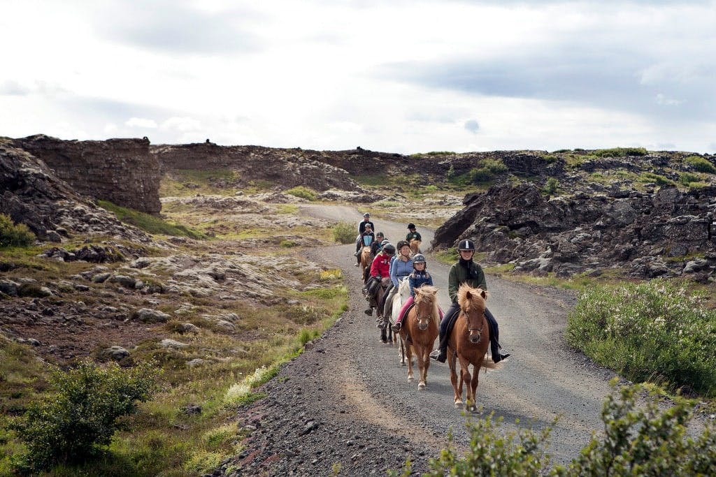 TUI Icelandic Horse Tour