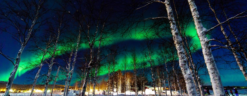 TUI Northern Lights Tour
