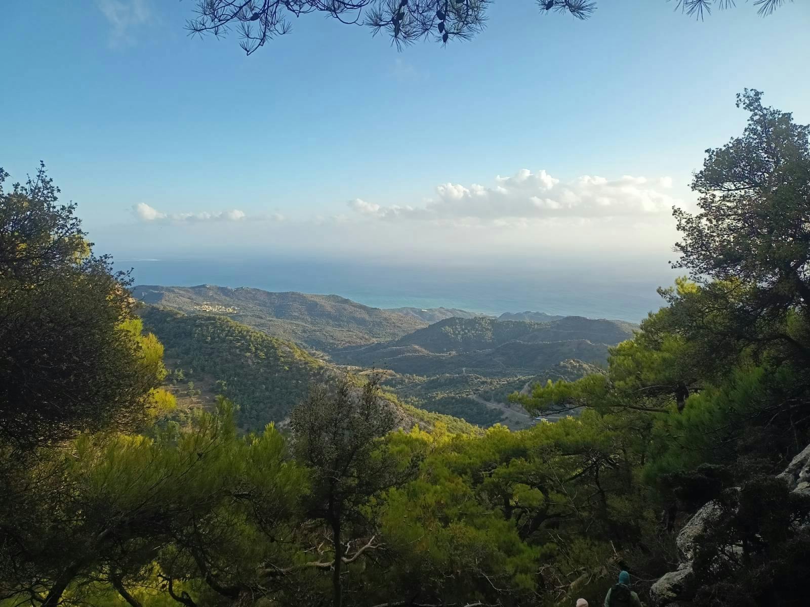 Viannos, Simi forest and ancient sanctuary tour with a local guide