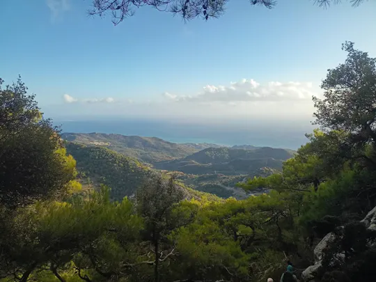 Viannos, Simi forest and ancient sanctuary tour with a local guide