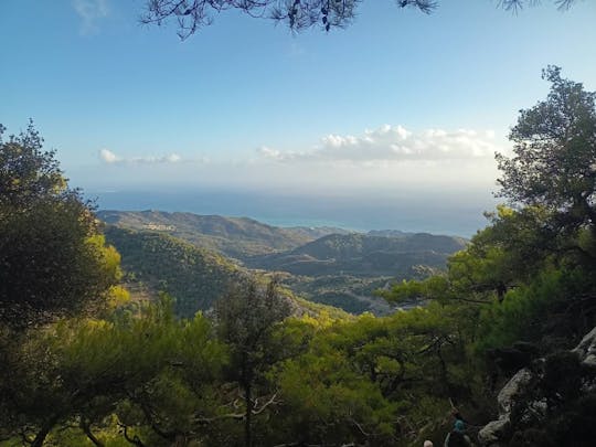 Viannos, foresta di Simi e antico santuario con guida locale