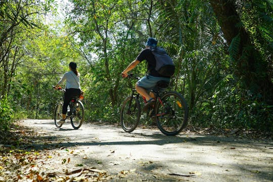 Bangkok guided small-group bicycle tour around Bang Krachao