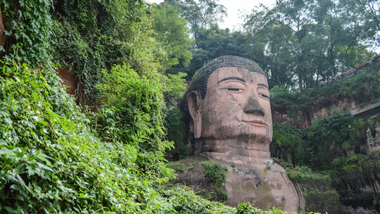 Leshan Giant Buddha private tour and Jurassic expedition