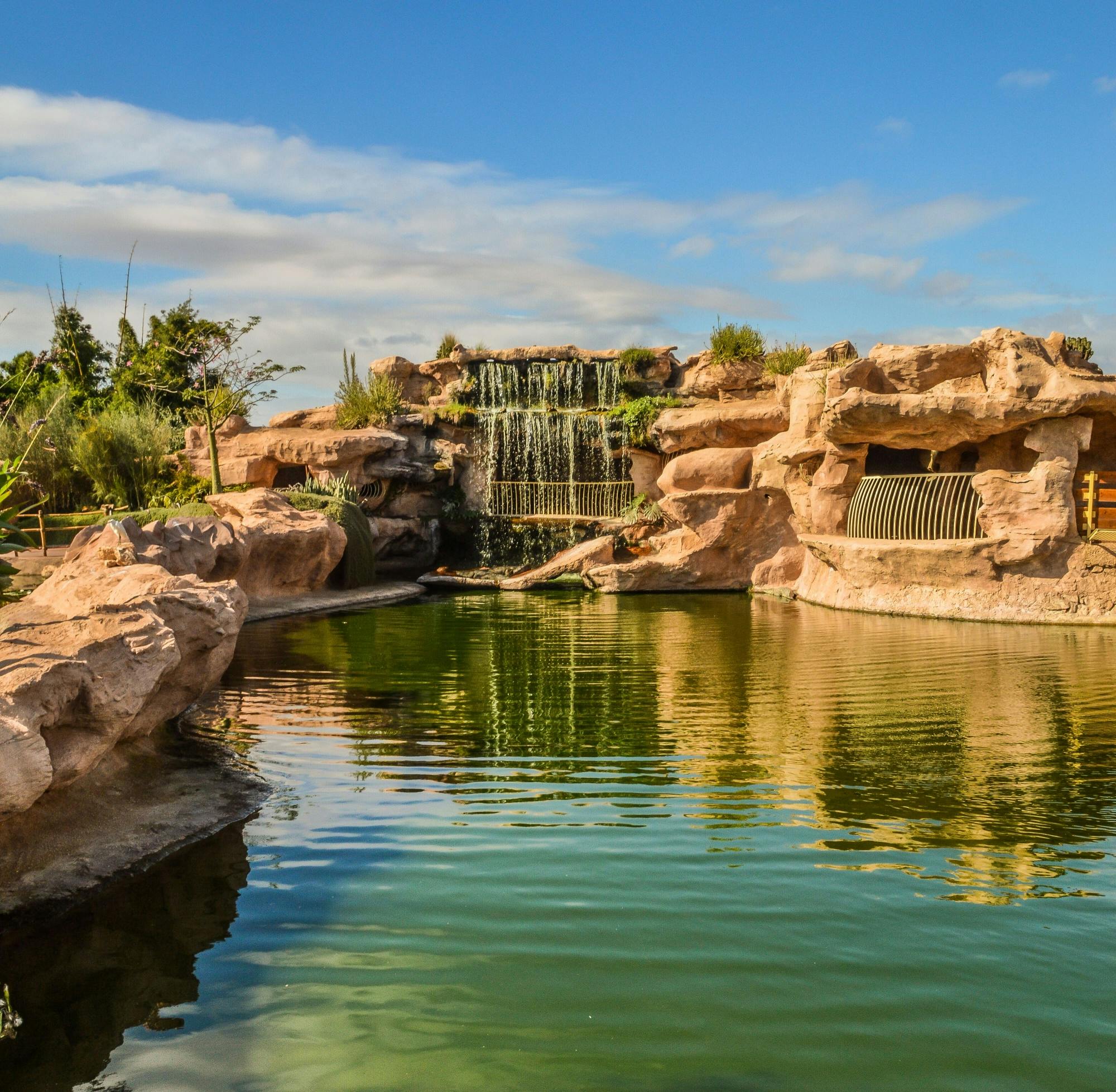 Agadir Crocoparc Tour