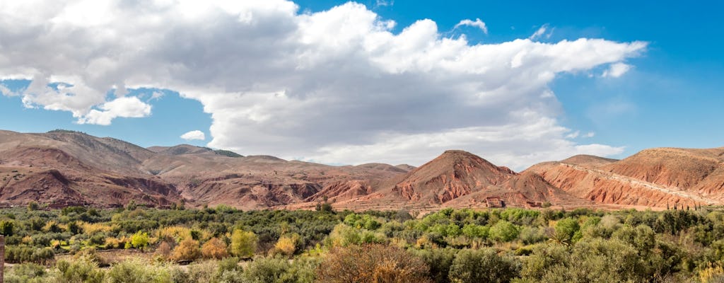 Road of the Kasbahs 4x4 Tour with Lunch in Aït Benhaddou