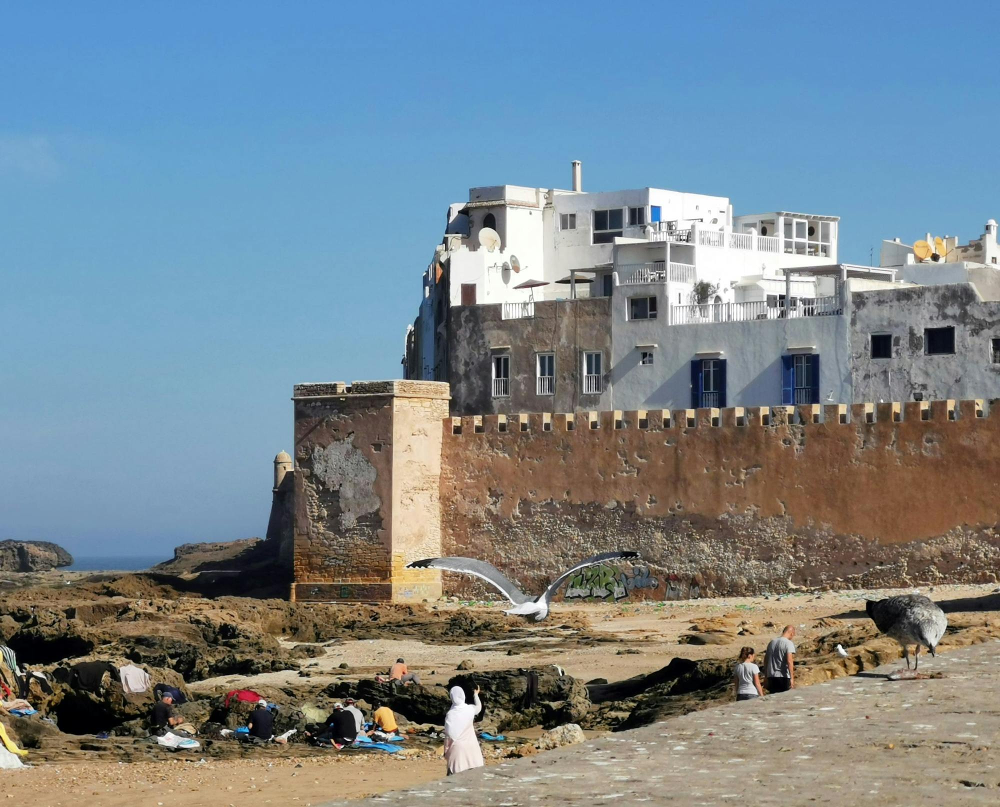 Essaouira medina and harbour tour with argan coop Visit