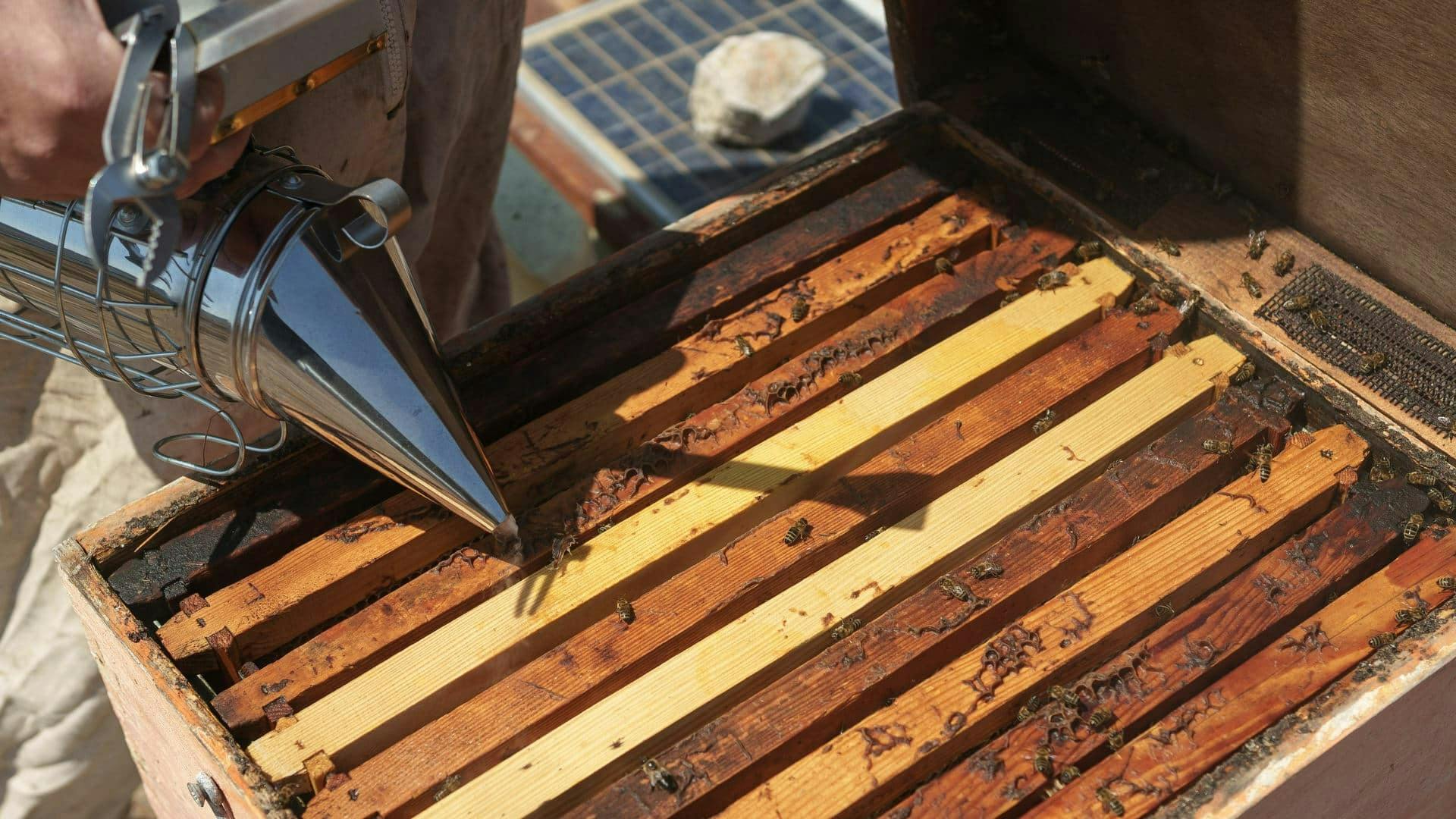 Karpathos wine, honey and tastes of Menetes tour in Greece