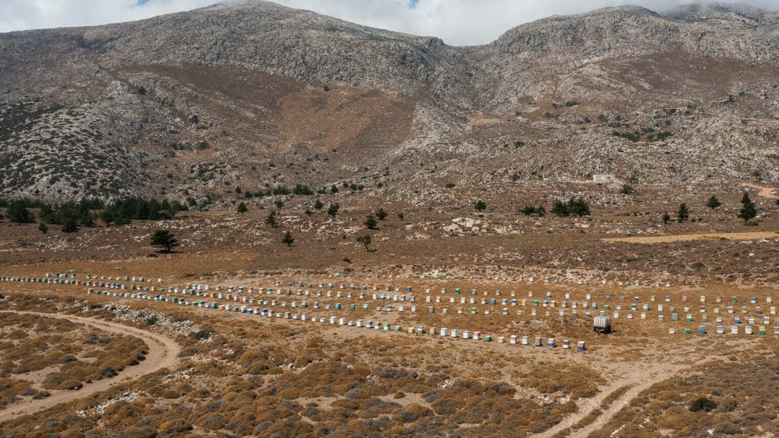 Karpathos wine, honey and tastes of Menetes tour in Greece